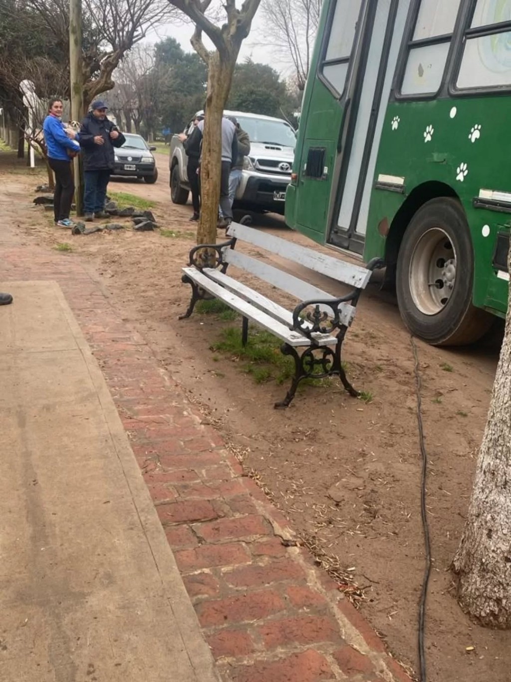 Mauricio Hirsch: Castraciones 